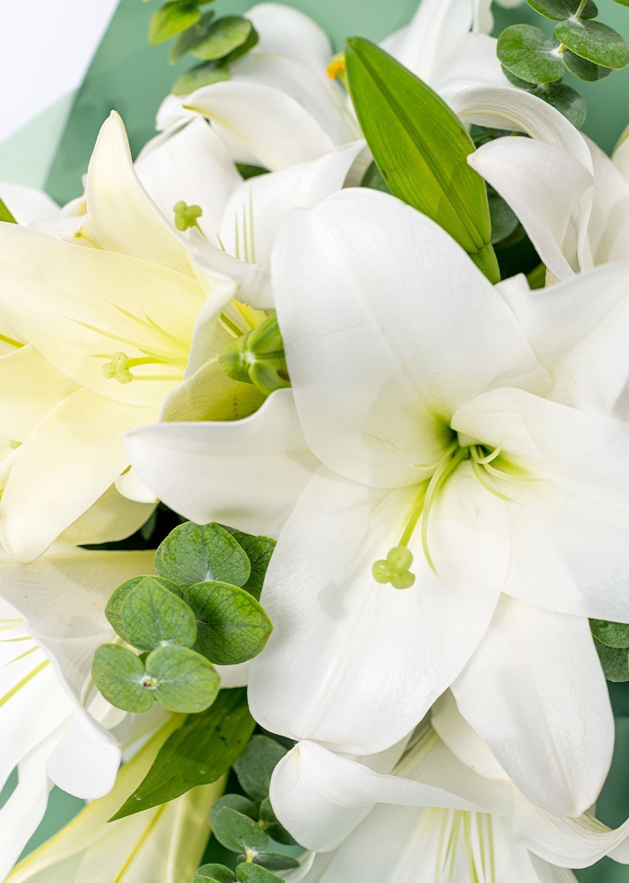 Imagen para Ramo de Casablancas - 3