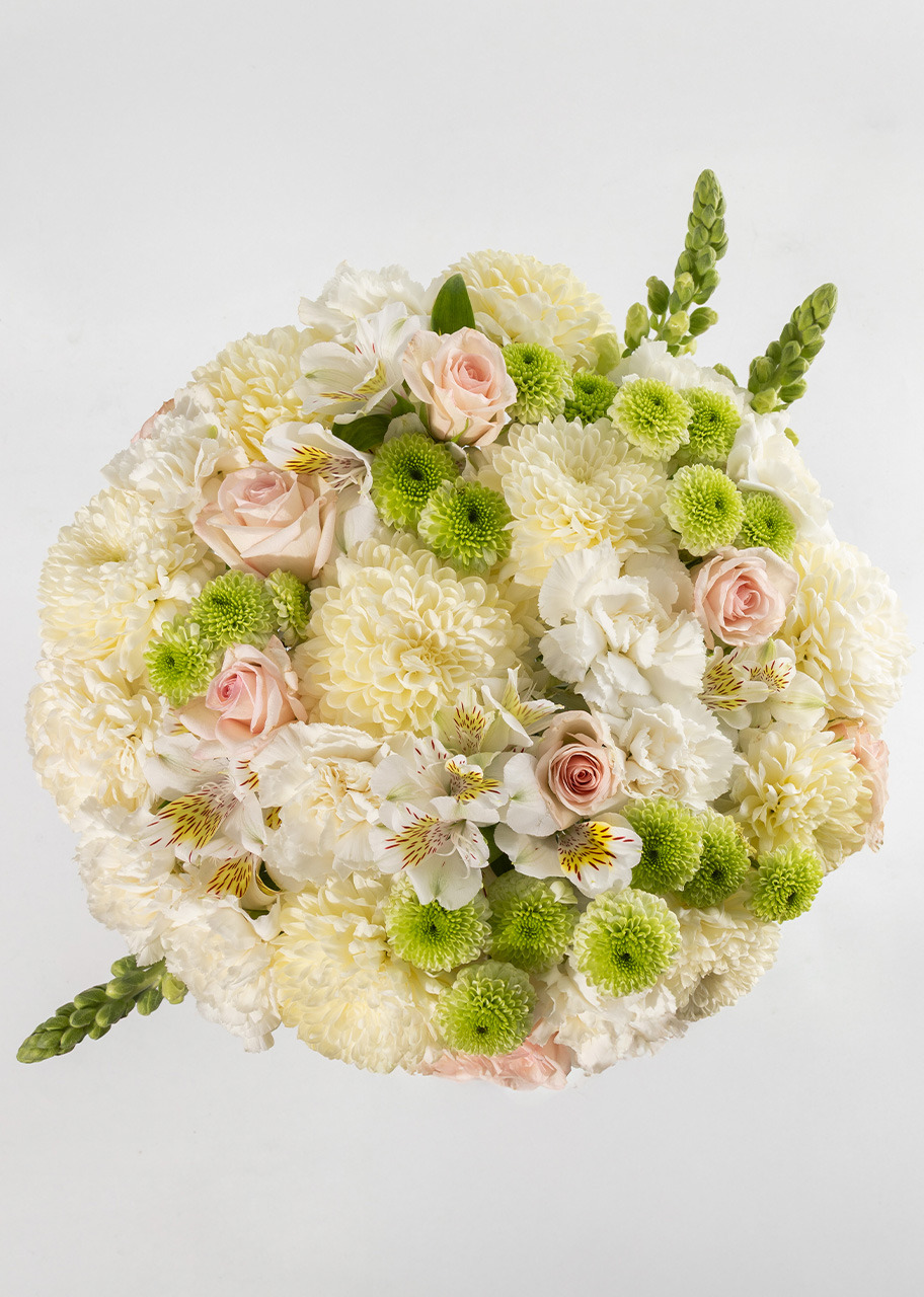 Imagen para Ramo de Claveles Blancos y Margaritas - 1