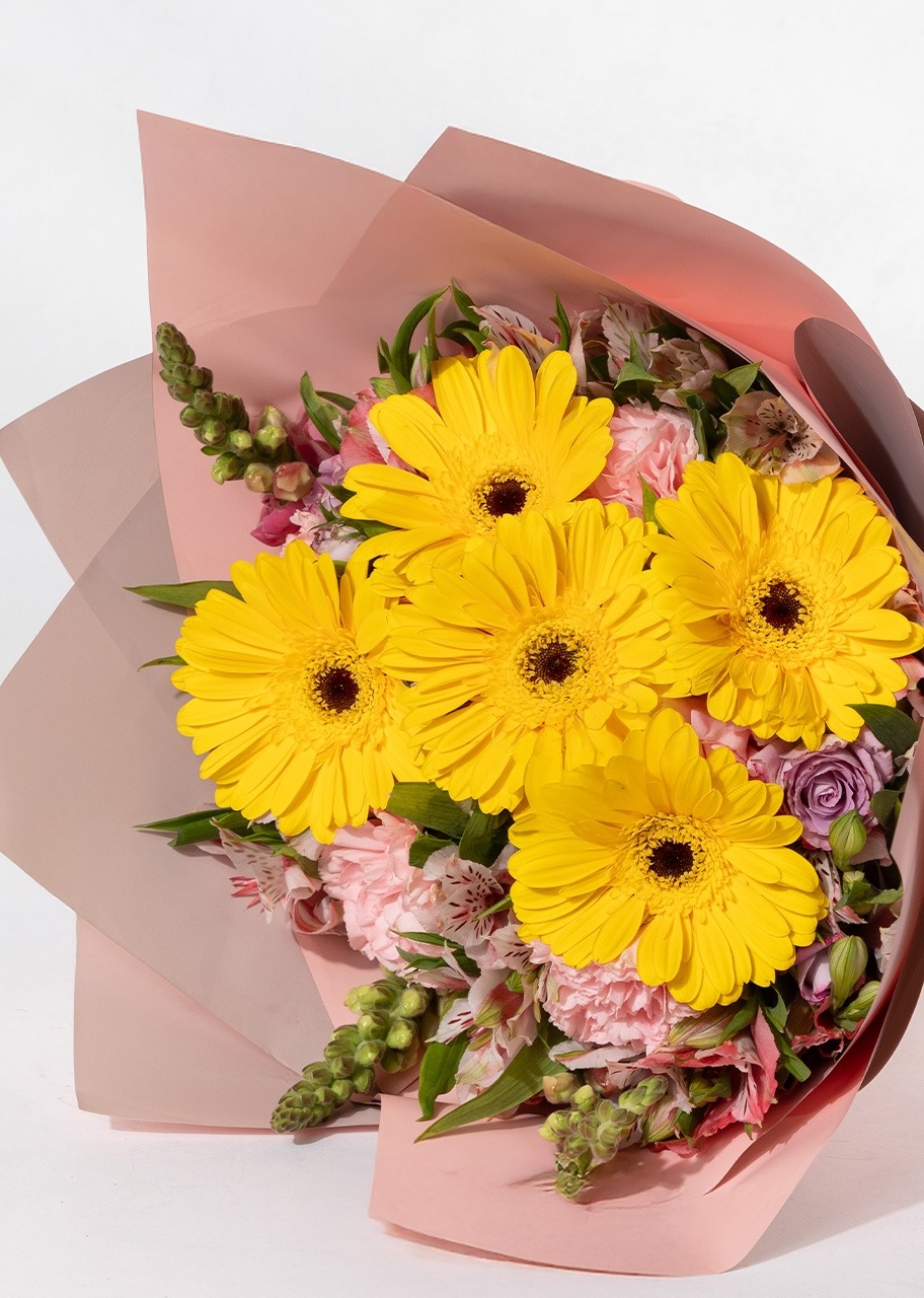 Imagen para Rayos de Sol con Gerberas y Claveles - 3