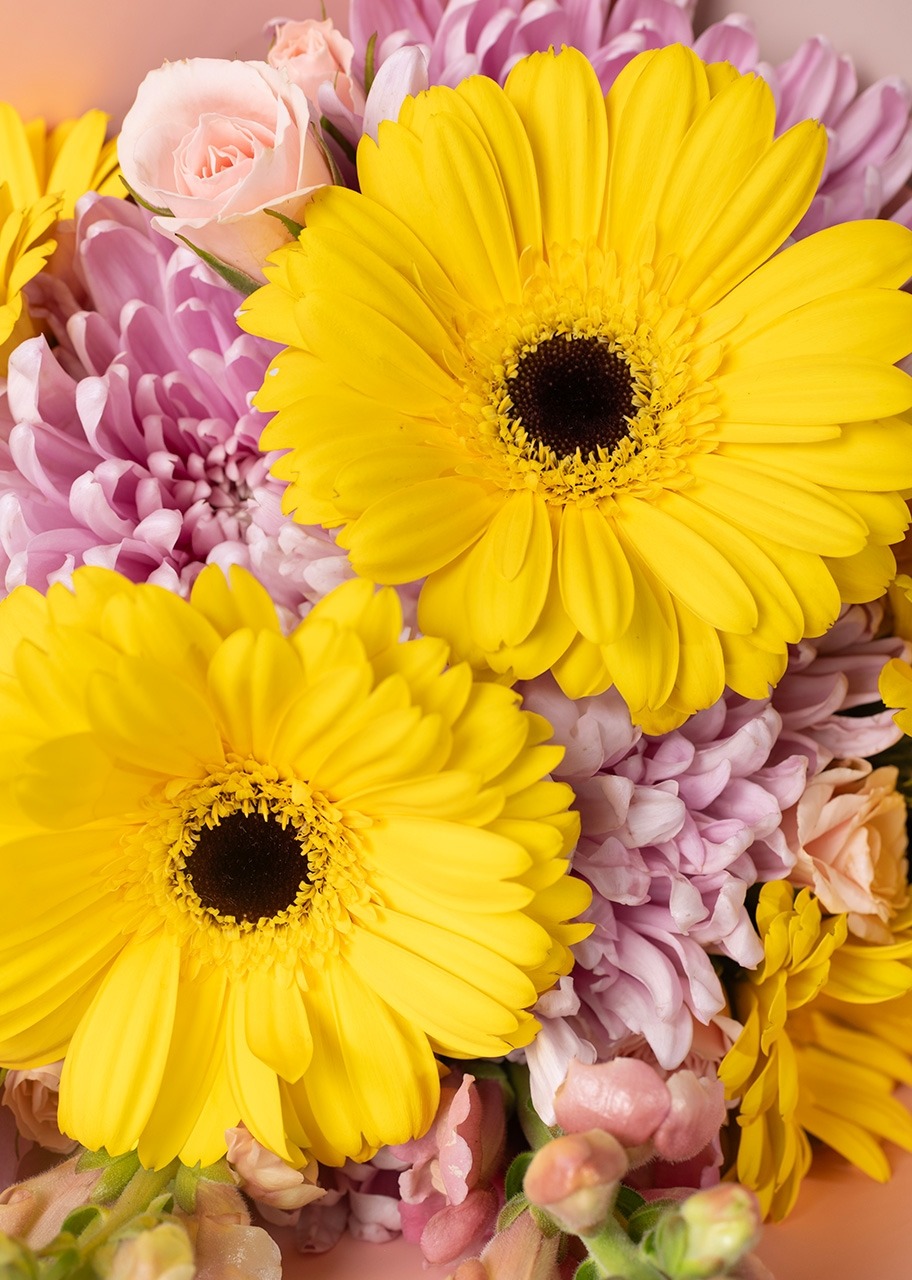 Imagen para Rayos de Sol con Gerberas y Roxanne - 4