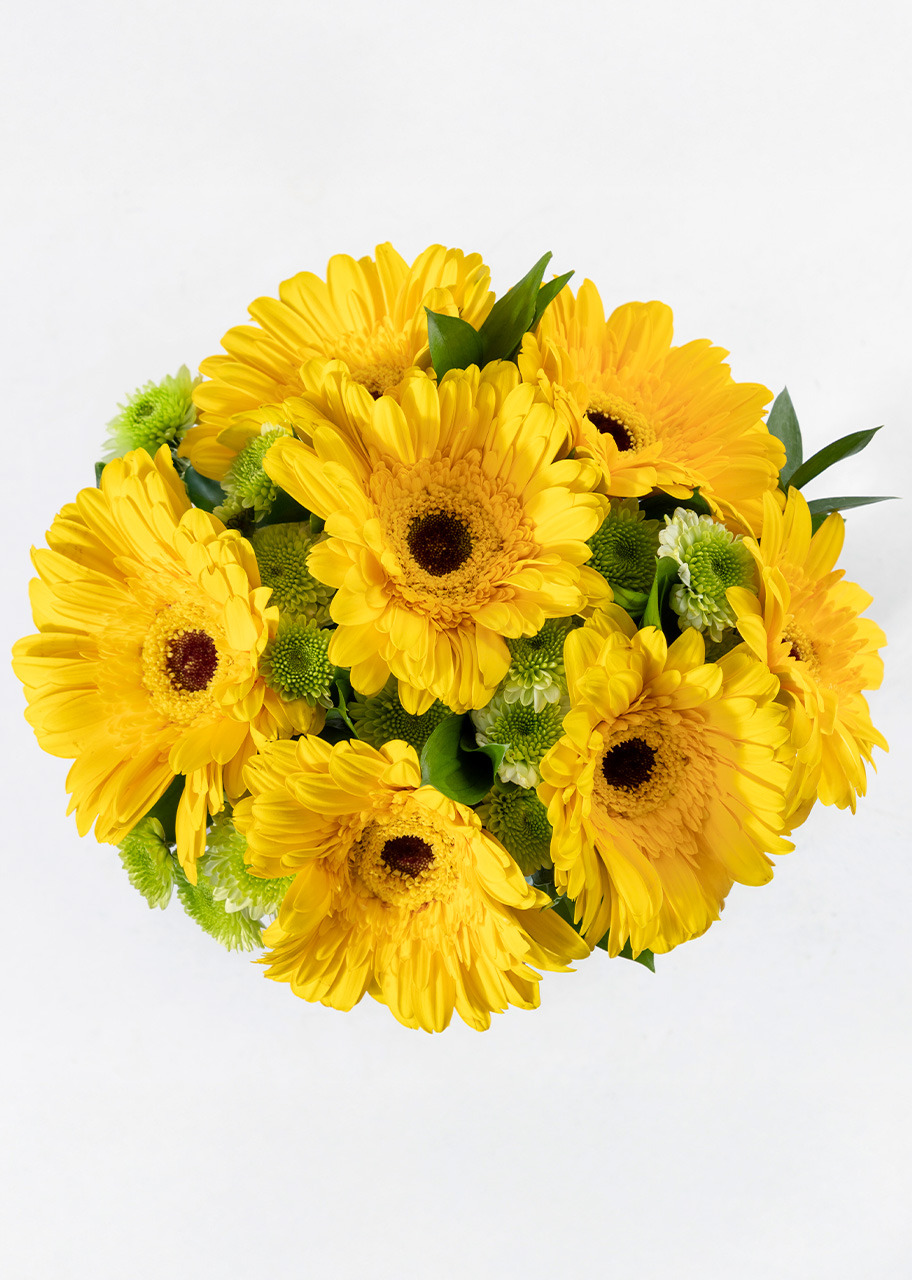 Imagen para Ramo de Gerberas Amarillas y Margaritas - 1