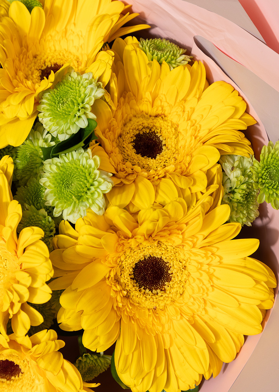 Imagen para Ramo de Gerberas Amarillas y Margaritas - 4