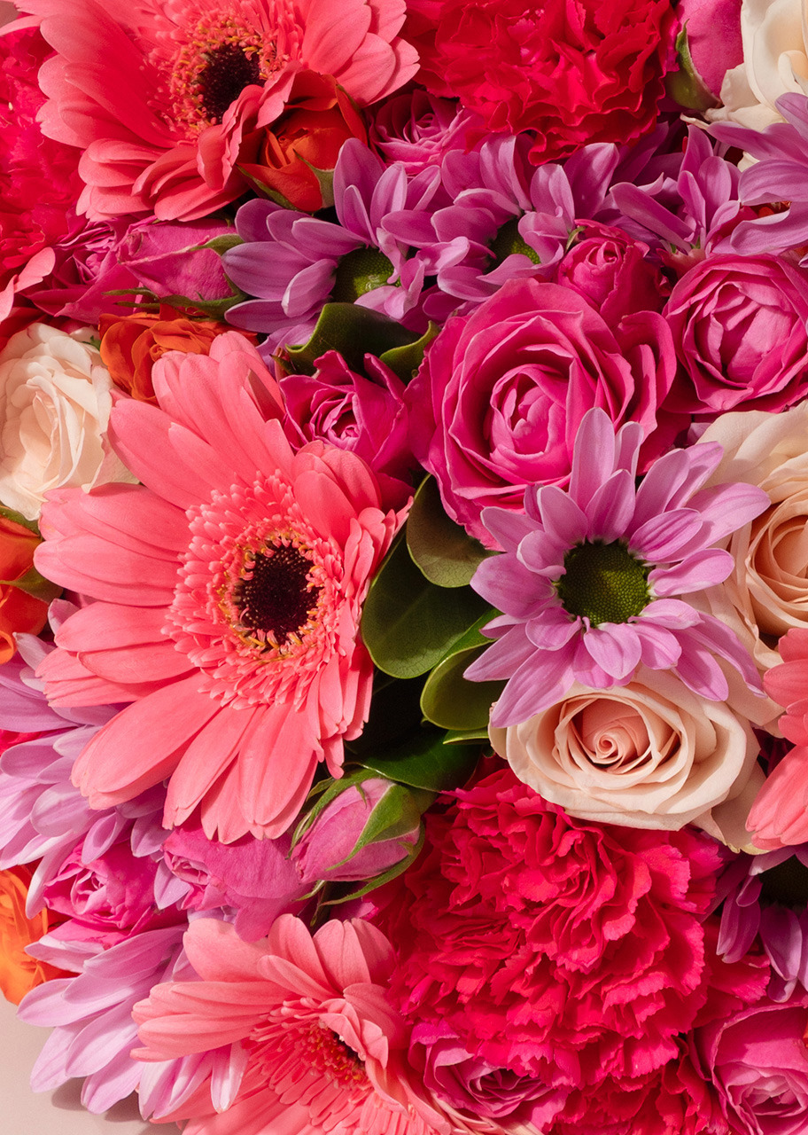 Imagen para Ramo de Gerberas Rosa y Margaritas con Mini Foto - 4