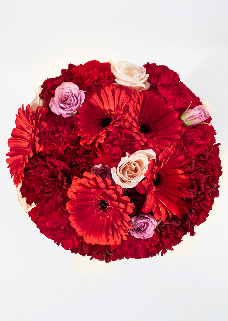 Imagen para Beso Ramo con Gerberas Rojas y Claveles - 1