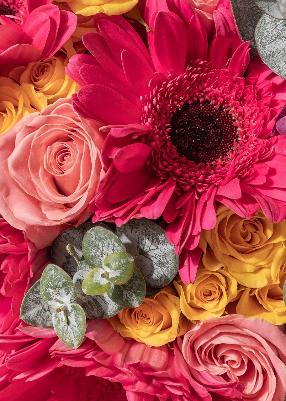Imagen para Ramo de Gerberas y Rosas - 4