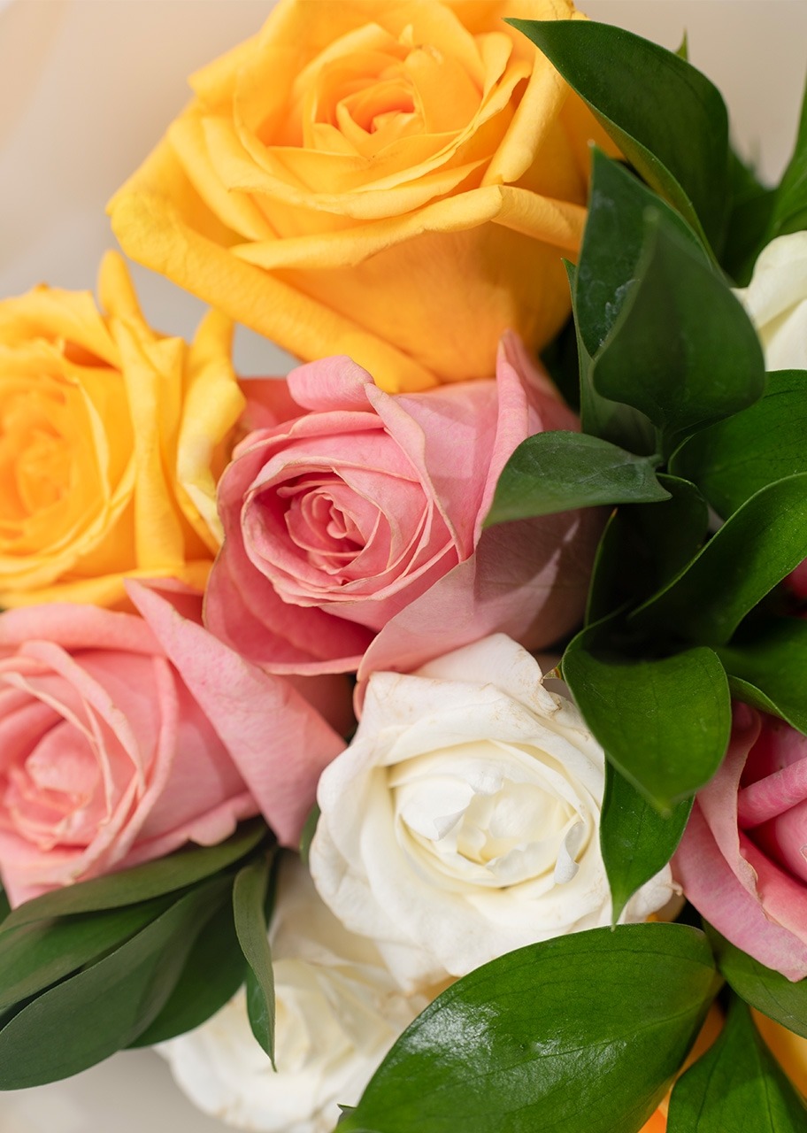 Imagen para Ramo de 12 Rosas Coloridas - 4