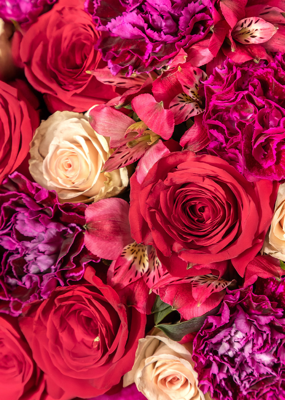 Imagen para Latido Ramo de Rosas Rojas y Claveles - 4