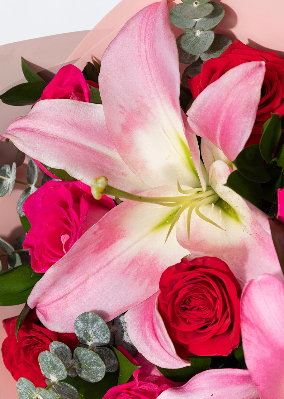 Imagen para Ramo de Rosas Rojas y Stargazers - 4