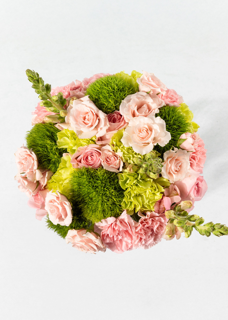 Imagen para Magia por Siempre con Rosas y Claveles - 1