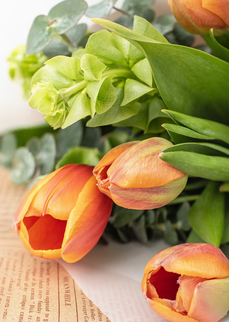Imagen para Ramo de Tulipanes Naranjas - 3