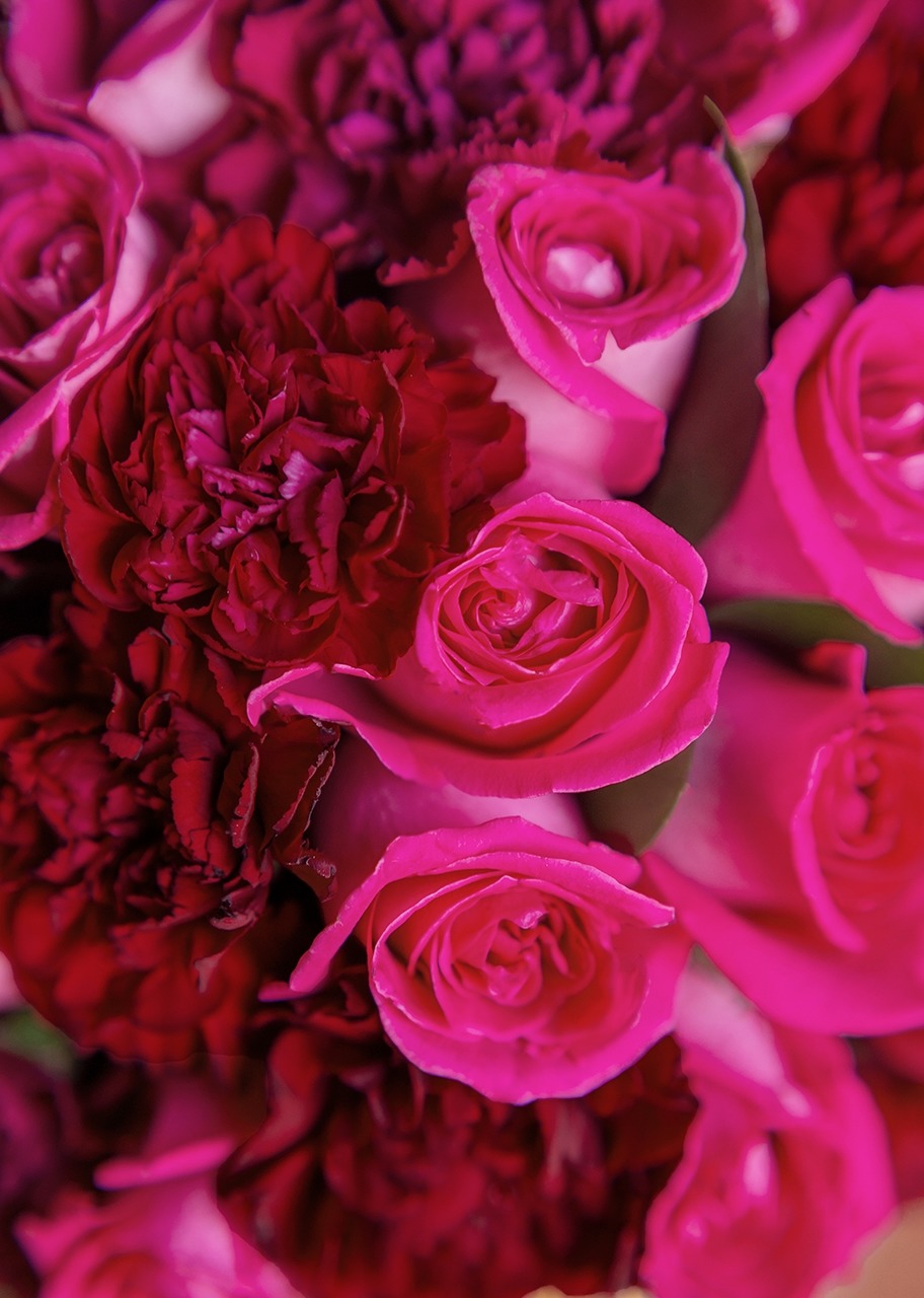 42 Rosas Rosas y Claveles en Base