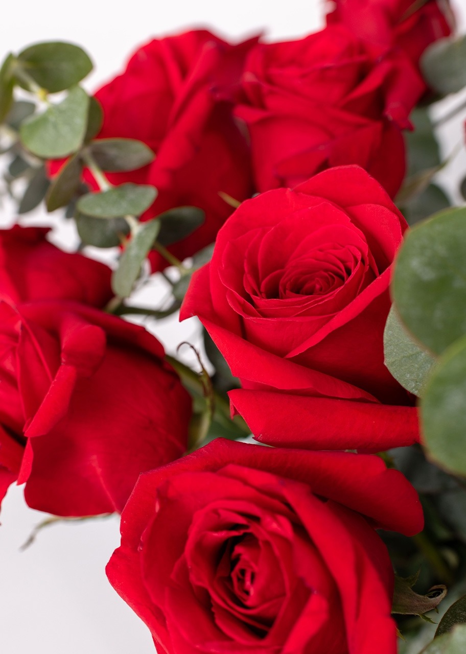 Imagen para 18 Rosas rojas en jarrón negro - 3