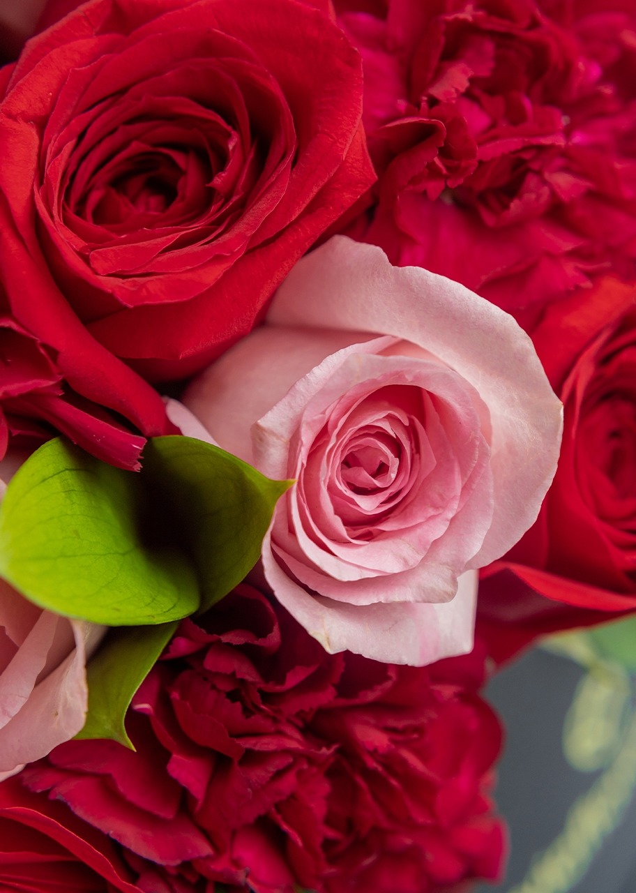 Imagen para Rosas y Claveles en Caja - 4