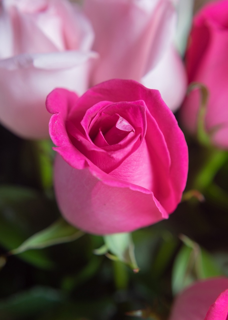 Imagen para Solamente nosotros arreglo con 50 rosas - 4