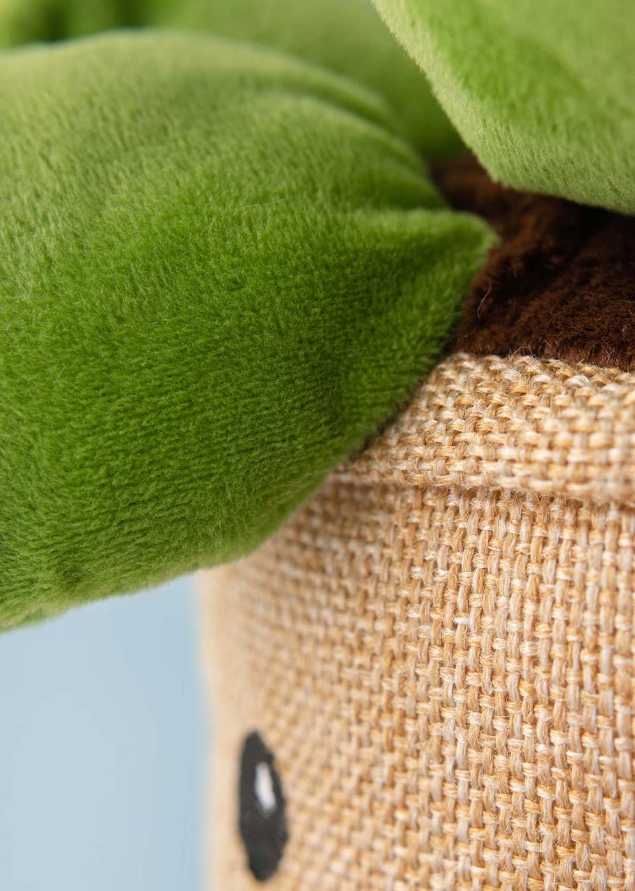 Imagen para "Sucu" Suculento Peluche - 3