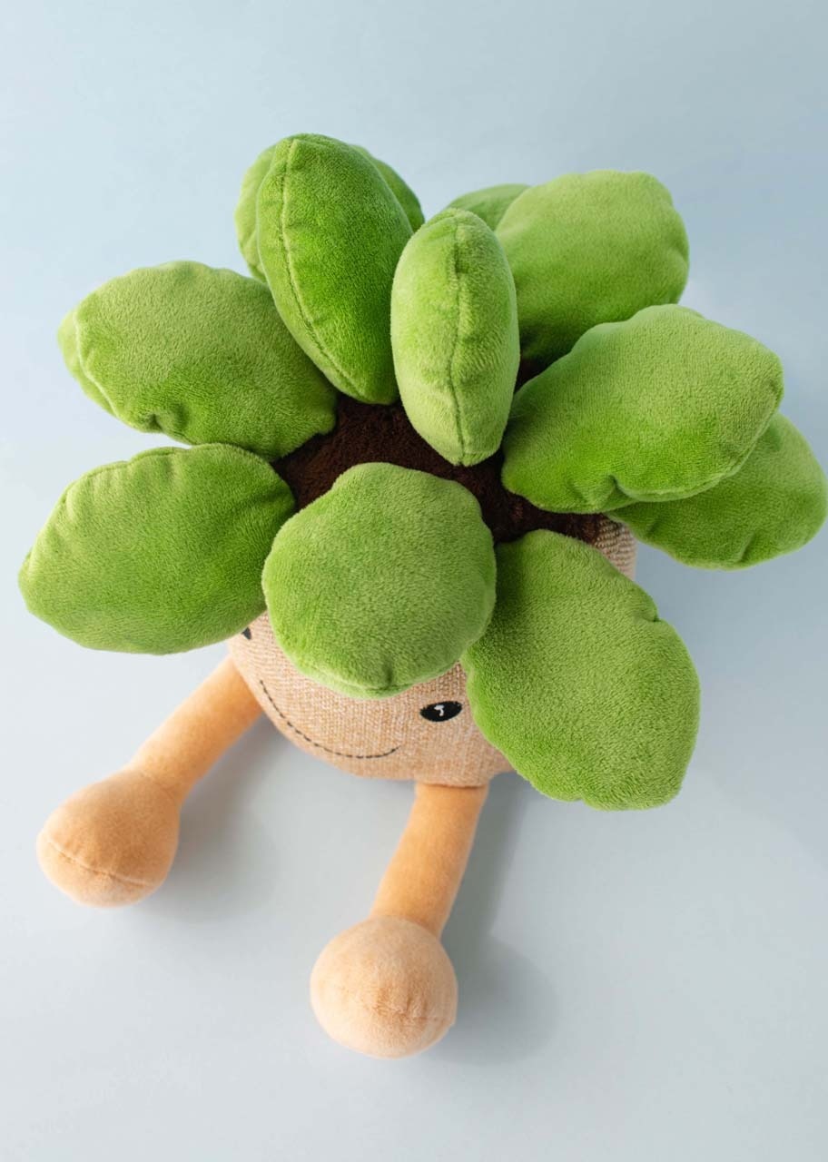 Imagen para "Sucu" Suculento Peluche - 4