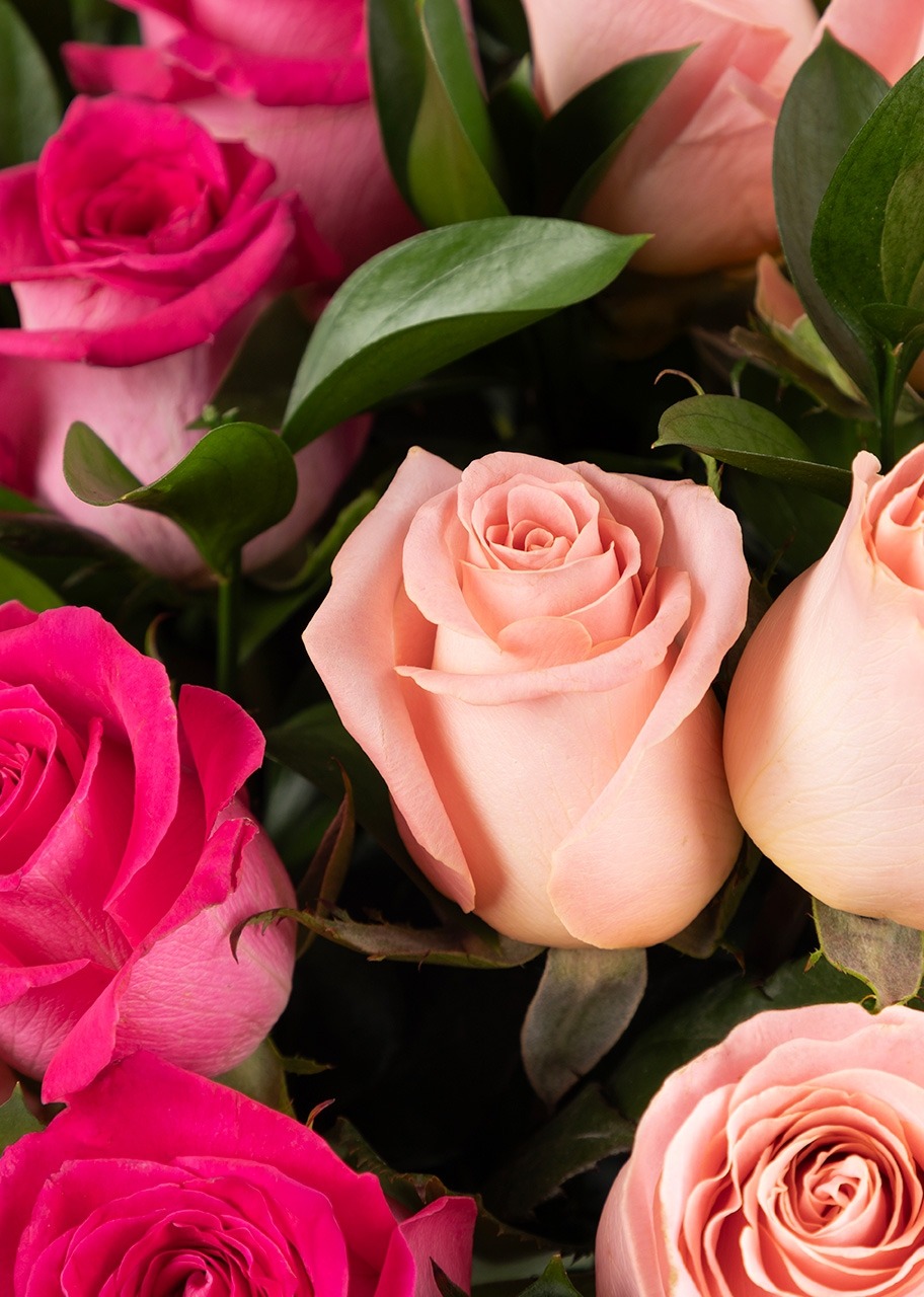 Imagen para Sueño de Rosas Combinadas en Jarron - 4