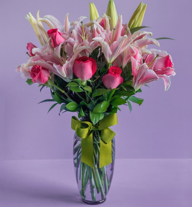 Suspiro de 12 Rosas y Stargazer