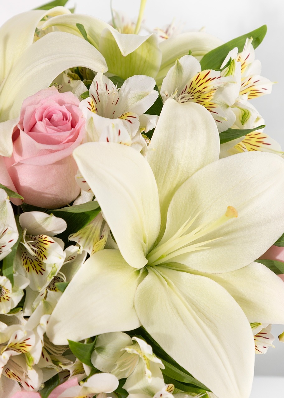 Imagen para Ternura con 6 Rosas y Lilys - 4