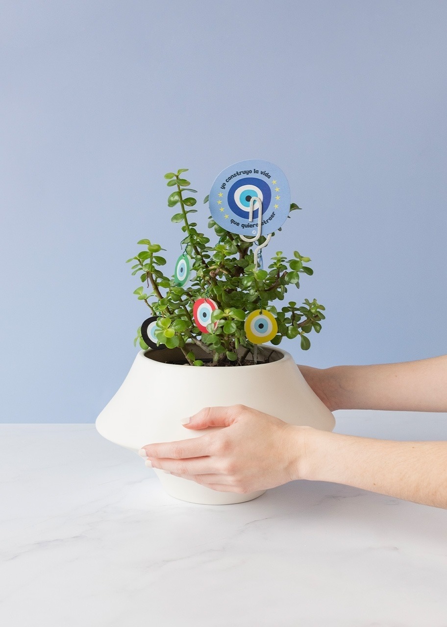 Imagen para Planta de la Buena Vibra - 2