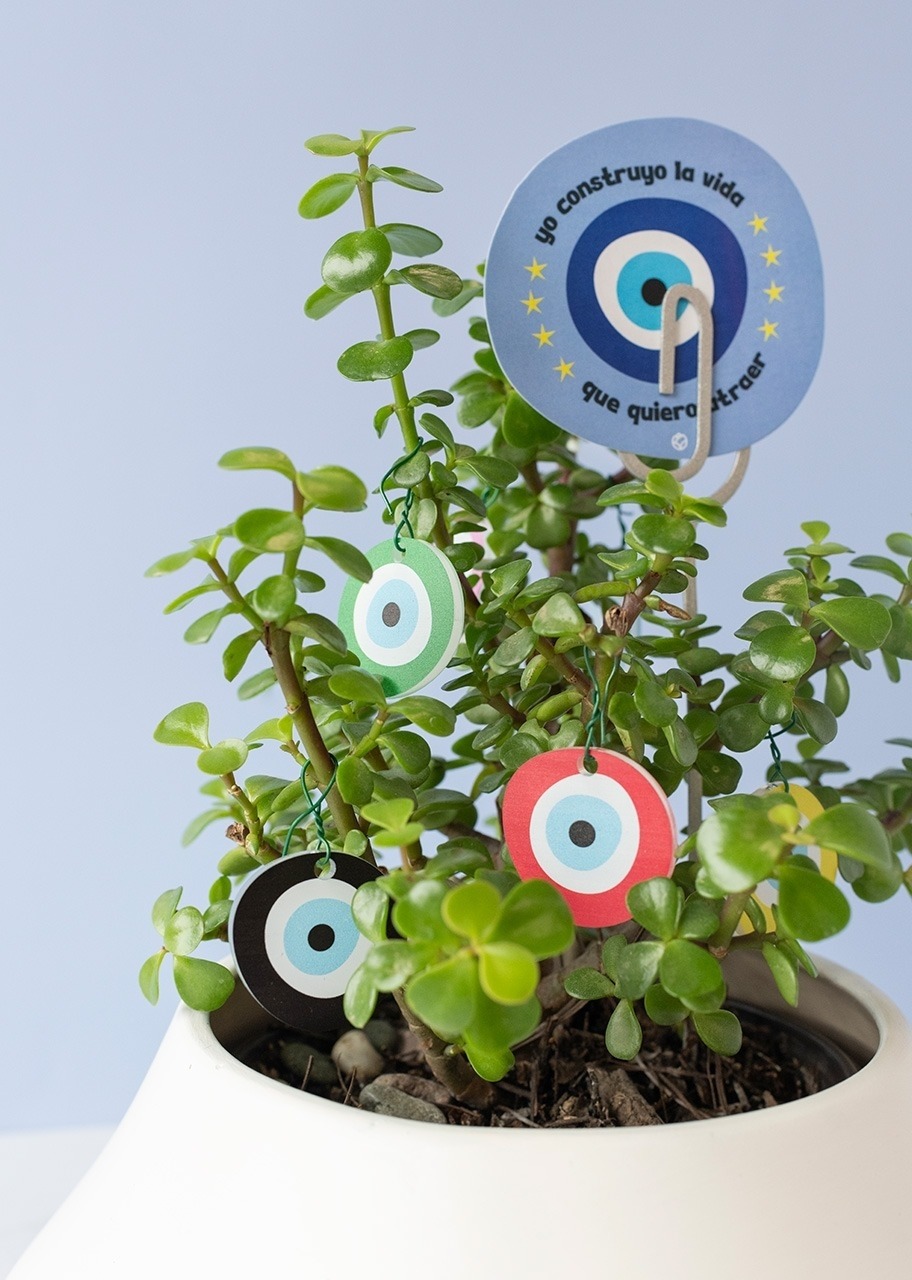 Imagen para Planta de la Buena Vibra - 3