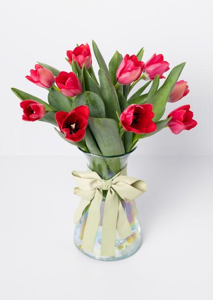 10 Tulipanes Rojos en Jarrón
