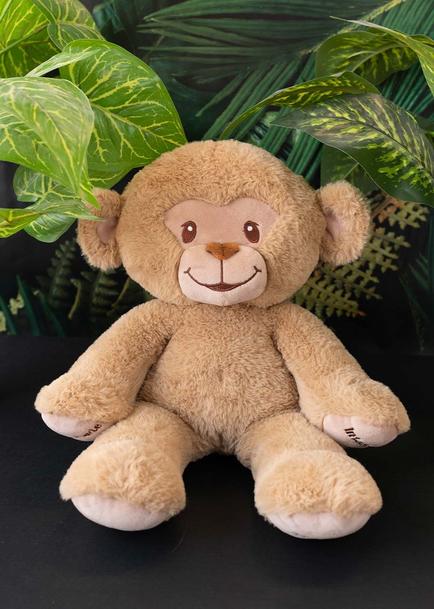 Noa el Chango de Peluche