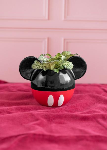 Mini Planta en Maceta Mickey Mouse