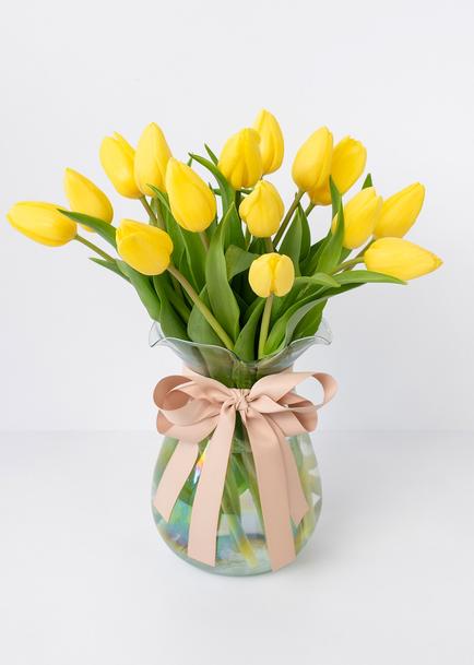 15 Tulipanes Amarillos