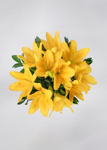 Ramo de Lilys Amarillas