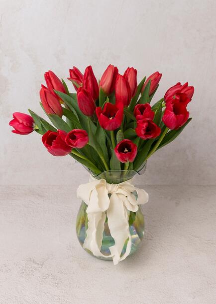 20 Tulipanes Rojos en Jarr&oacute;n
