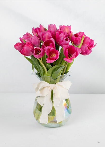 20 tulipanes Fucsia en jarrón tornasol