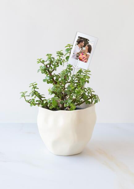 Personaliza con Mini Foto con &Aacute;rbol de la Abundancia