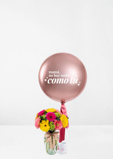 Kit Mam&aacute; Flor,Orbz y Taza "Coolest Mom Ever"