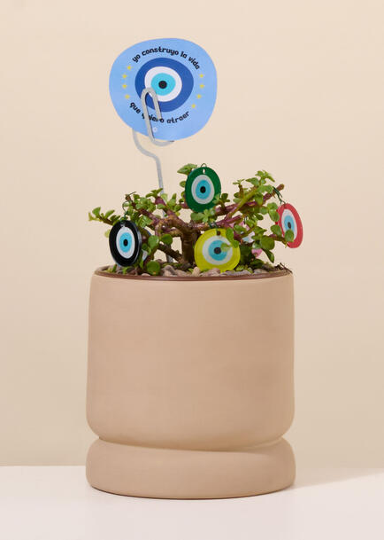 Planta de la Buena Vibra