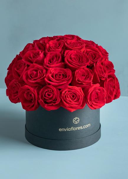 50 Rosas Rojas en Caja