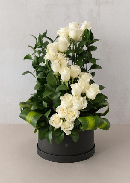 Amor infinito con 24 rosas blancas en caja