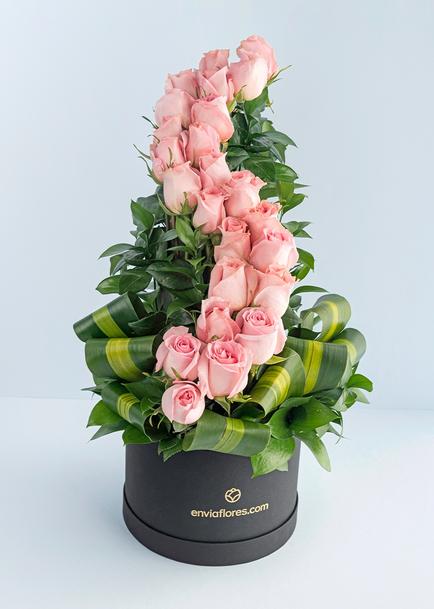 Amor infinito con 24 rosas rosas en caja