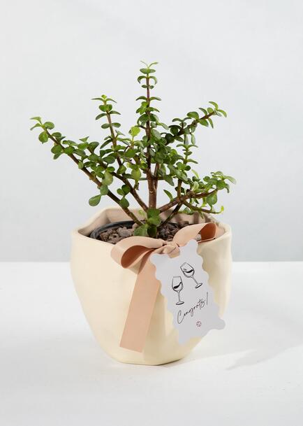 &Aacute;rbol de la abundancia con Distintivo "Congrats"