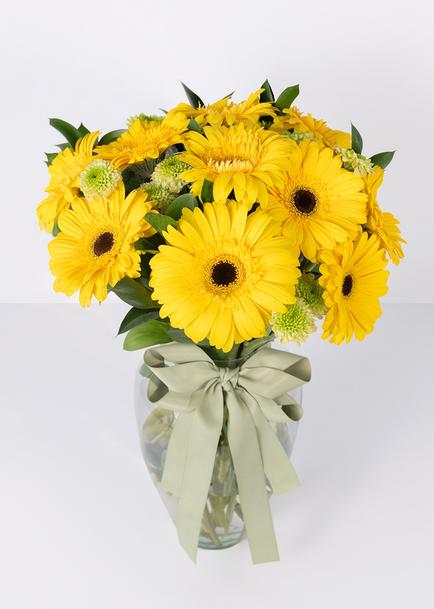 Arreglo de 10 Gerberas Amarillas