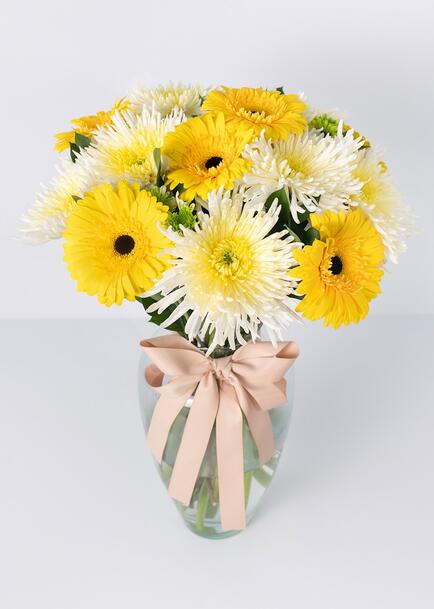 Arreglo de Gerberas Amarillas con Spider