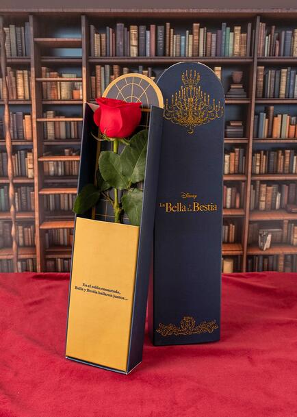 Caja Disney La Bella y La Bestia con Rosa Roja