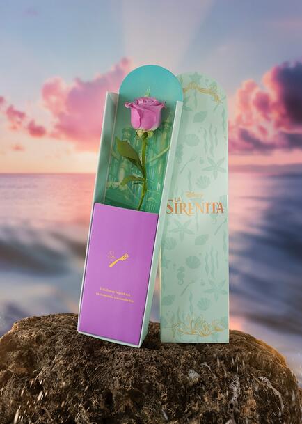 Caja Disney La Sirenita con Rosa Lila