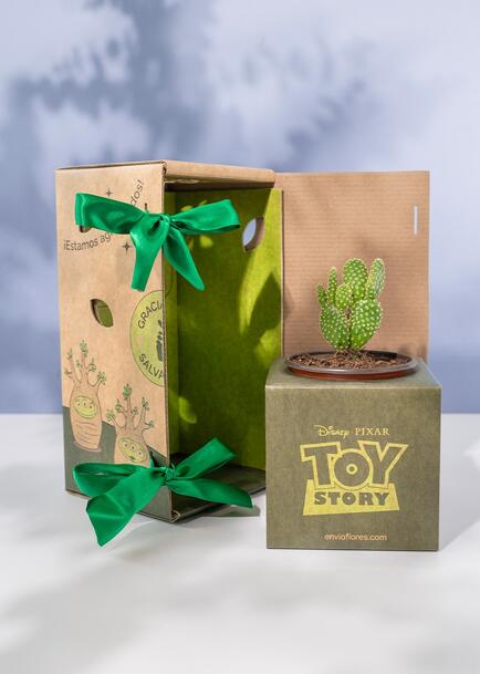Caja Disney Toy Story