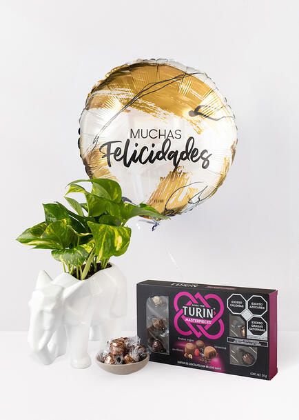 Combo Chocolates con Globo y Planta