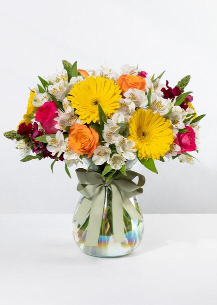 Feliz día con Gerberas