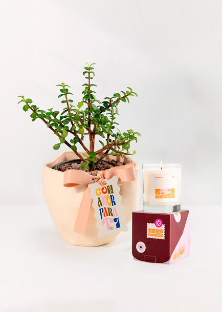 Kit Abundancia y Good vibes