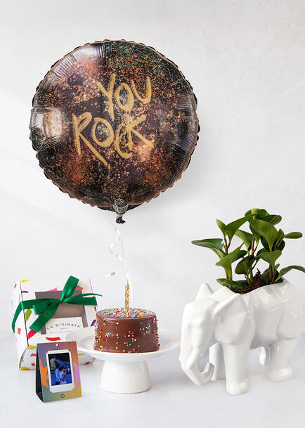 Kit Cumplea&ntilde;os Planta, Mini Pastel Chocolate, Globo y Polaroid