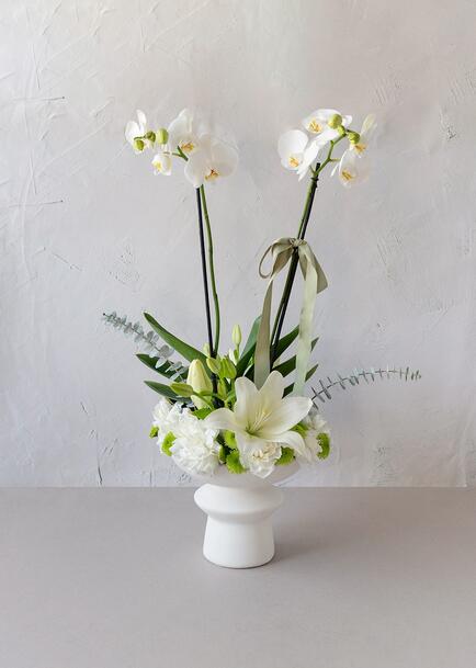 Orquídea Blanca con Flor
