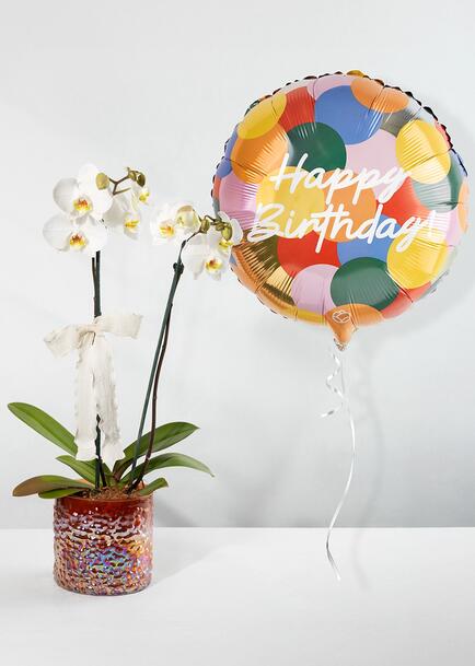 Orquídea blanca con Globo ''Happy Birthday'' de Colores